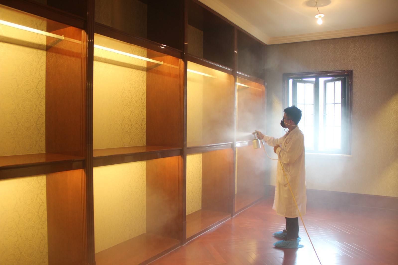 裝修后，甲醛無可避免。放一盆水除甲醛？“行家”告訴你有多扯淡